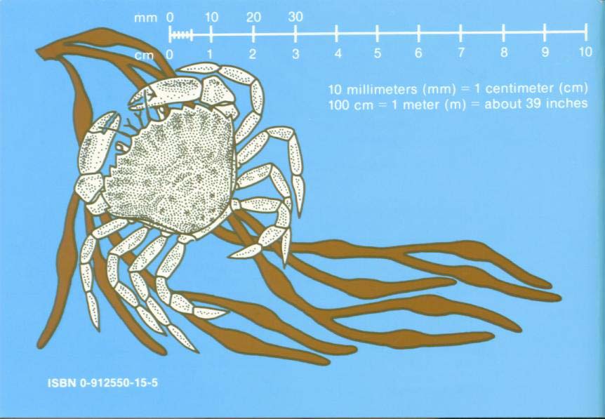 LIFE ON INTERTIDAL ROCKS: a guide to marine life of the rocky North Atlantic coast. nasg5406t